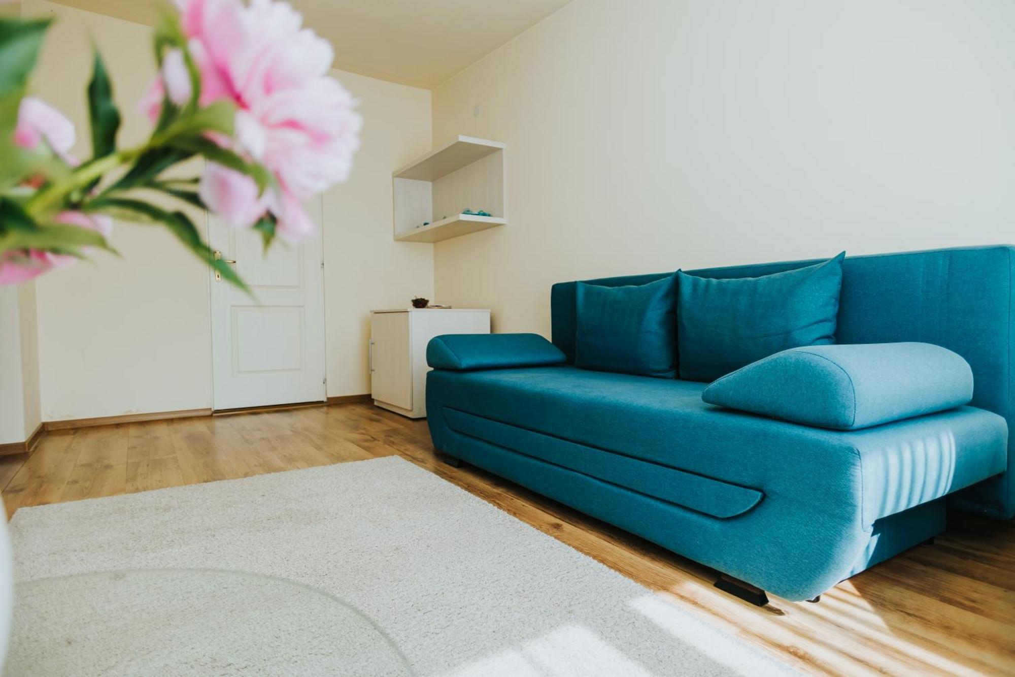 Camelia'S Cozy Place Baia Mare Extérieur photo